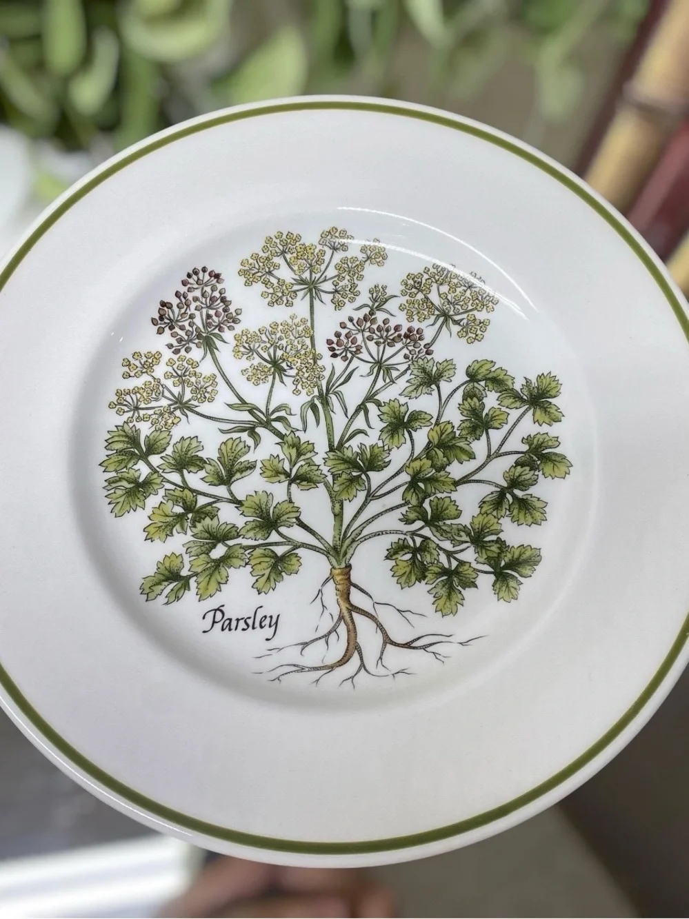 3 Tiffany & Co Johnson Brothers Herbs Salad Plates 7 7/8” Rosemary Sage Parsley